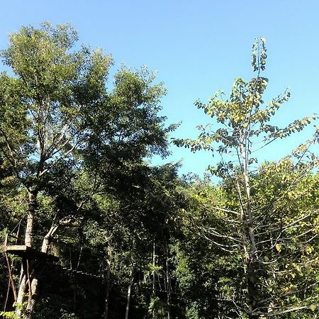 Camp Alfredo Adventure Resort Iloilo City Exterior foto